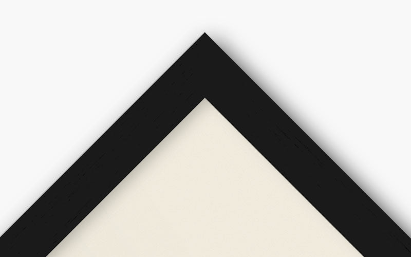 8x10 Frame and Photo Combo