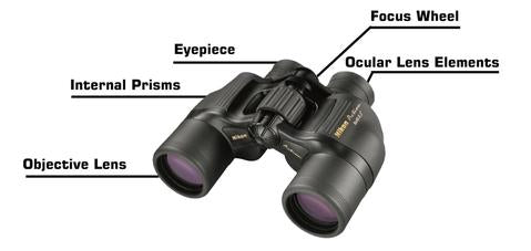 Binocular info