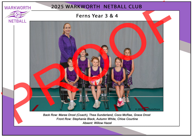 Netball 2025