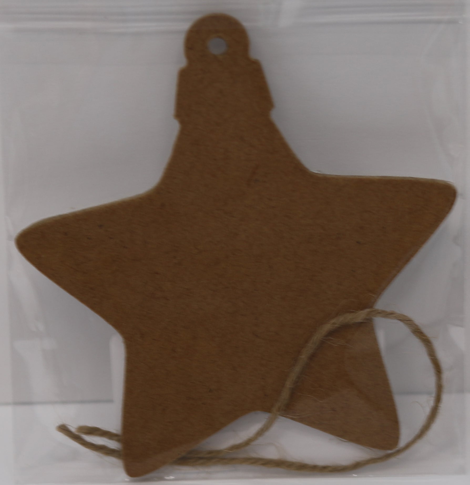 DIY Photo Ornament