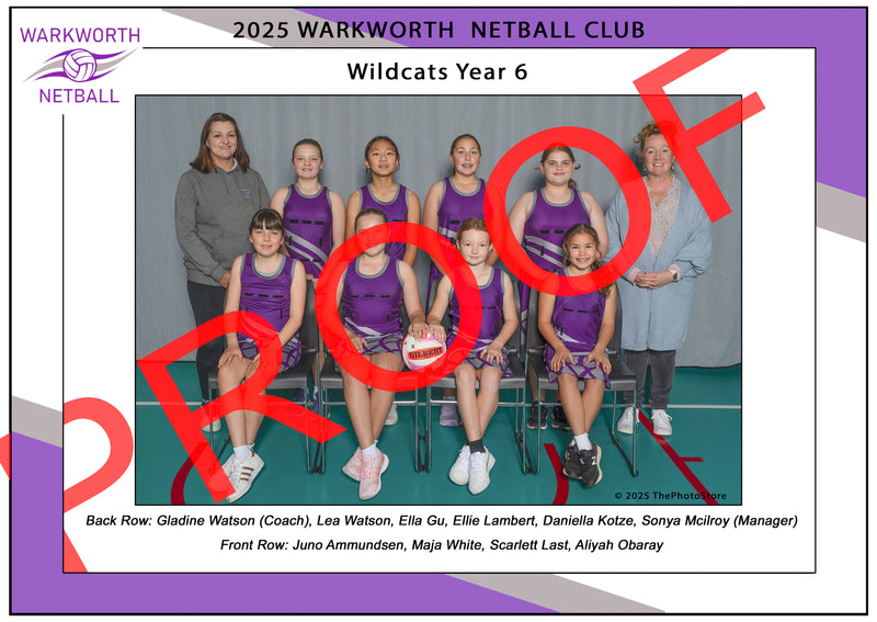 Netball 2025