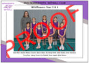 Netball 2025