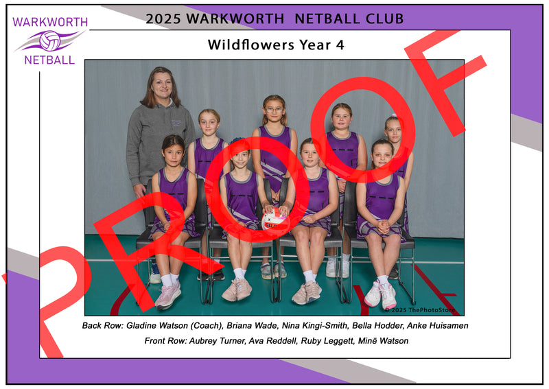 Netball 2025