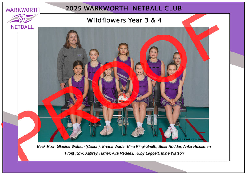 Netball 2025