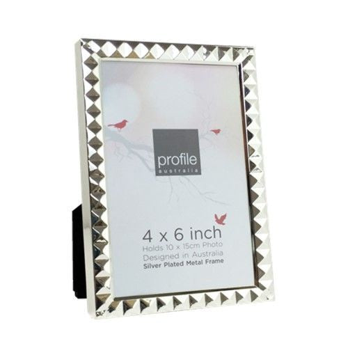 Harriet Silver 4X6 Frame