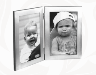 HINGED SILVER FRAME - VERTICAL
