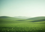 Landscape Texture