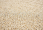 Sand Texture